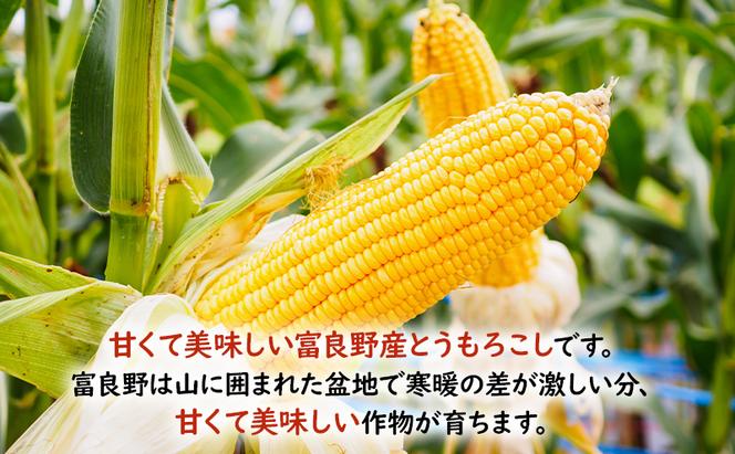 2025年先行受付 とうもろこし 富良野産 旬のとうもろこし(黄色) 12本入 北海道 富良野 ふらの コーン とうきび トウモロコシ 野菜 甘い