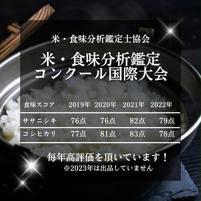 令和6年産 新米 11月から発送 特別栽培米 恋の舞 ササニシキ 2合×2袋（300g×2袋 小分け 精米）