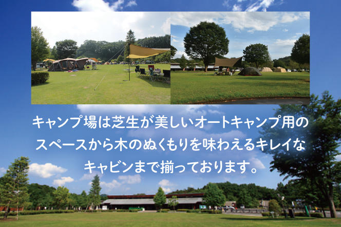 大子広域公園オートキャンプ場『グリンヴィラ』 フリーサイト 施設利用券【平日限定】(BQ003)