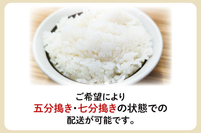 GV-1　【数量限定】令和5年度産 茨城県産コシヒカリ「弐湖の米」 計4kg(2kg×2袋)