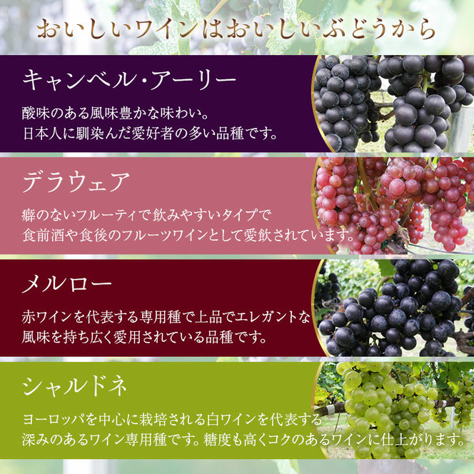 かぬま 里山わいん 里山のめぐみ 赤ワイン 720ml & 白ワイン 720ml お届け 入金確認後 14日～1ヶ月 お酒 