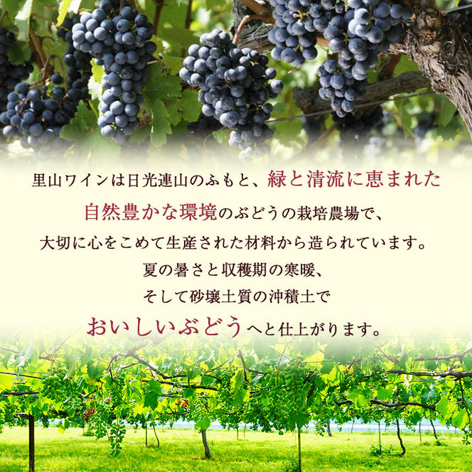 かぬま 里山わいん 里山のめぐみ 赤ワイン 720ml & 白ワイン 720ml お届け 入金確認後 14日～1ヶ月 お酒 