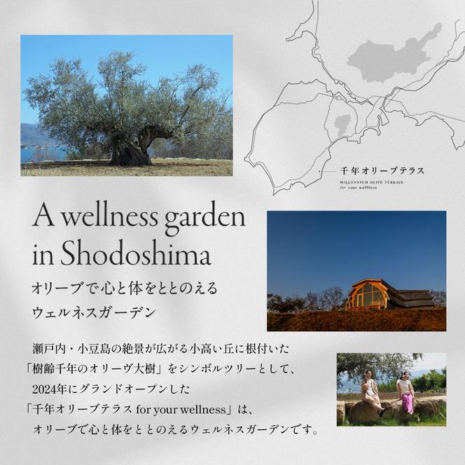 千年オリーブテラス for your wellness　日帰り体験（入園つき）ペアチケット マインドフルネス体験 体験 体験チケット オリーブテラス 日帰り 小豆島