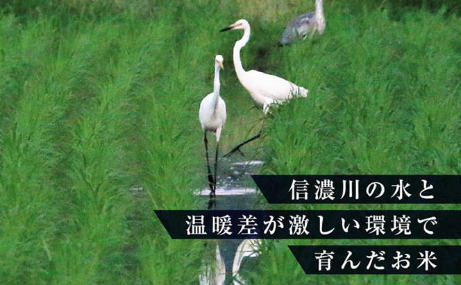 【定期便/12ヶ月】無洗米 ゆきまち米1kg×2 極上魚沼産コシヒカリ 米 こしひかり 無洗米 白米 ご飯 定期便 定期