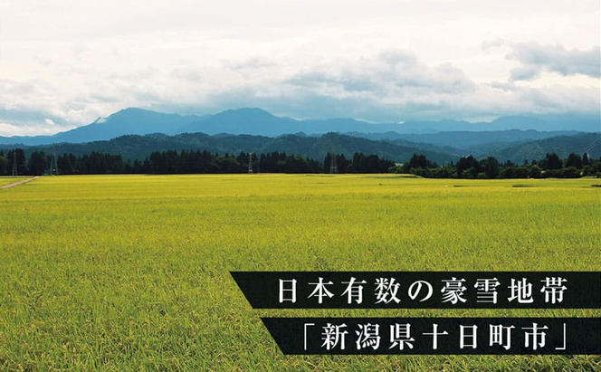 【お試し無洗米】三角おにぎり米　1kg×6個　新潟県魚沼産コシヒカリ　10数年ぶりの復刻パッケージ 米 こしひかり 白米 無洗米 ご飯