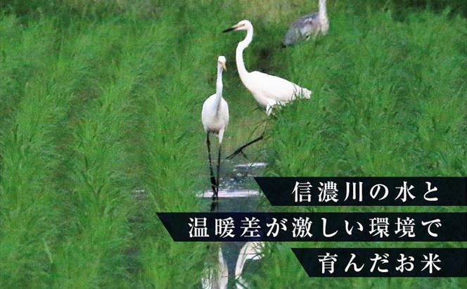 【お試し無洗米】三角おにぎり米　1kg×6個　新潟県魚沼産コシヒカリ　10数年ぶりの復刻パッケージ 米 こしひかり 白米 無洗米 ご飯