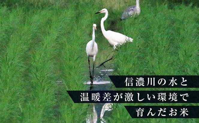 【定期便/6ヶ月】無洗米 ゆきまち米1kg×2 極上魚沼産コシヒカリ 米 こしひかり 無洗米 白米 ご飯 定期便 定期