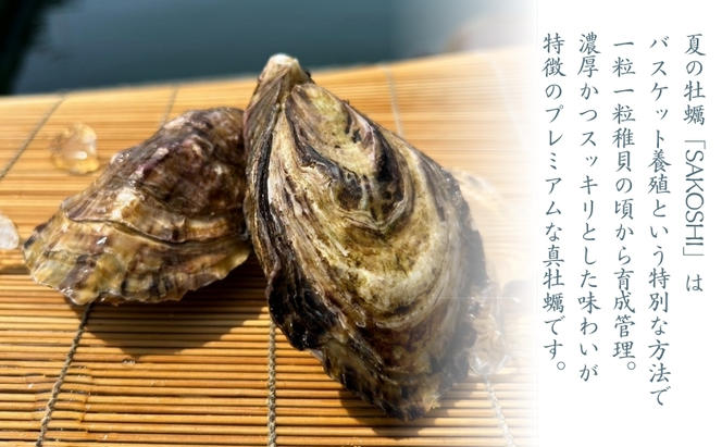 牡蠣 SAKOSHI 生食用 殻付き 9個～14個 牡蠣ナイフ付き [ 坂越かき プレミアム 生牡蠣 夏牡蠣 かき カキ 三倍体 ]