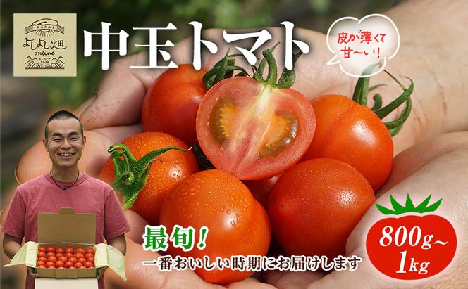 【最旬お届け!!】よしよし畑のあま～い トマト ( 中玉トマト ) 800g ～ 1kg 程度 新鮮 産地直送 冷蔵 とまと おいしい おすすめ ギフト お取り寄せ