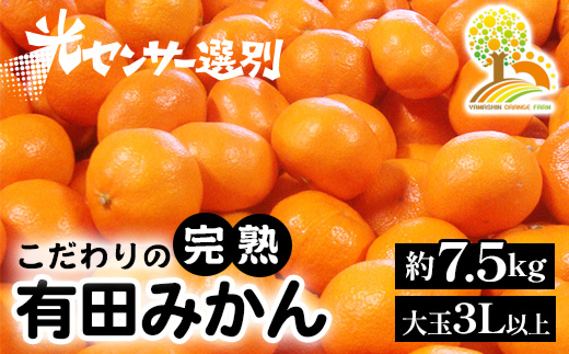 有田みかん 約7.5kg 大玉3L以上 有機質肥料100% ＼光センサー選別／ 農家直送 ※北海道・沖縄・離島への配送不可 ※2024年11月中旬～2025年1月上旬頃に順次発送予定