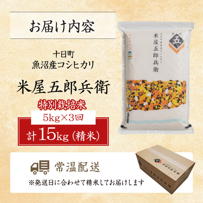 ＜新米発送＞【定期便/全3回】十日町産魚沼コシヒカリ 米屋五郎兵衛 特別栽培米 精米5kg