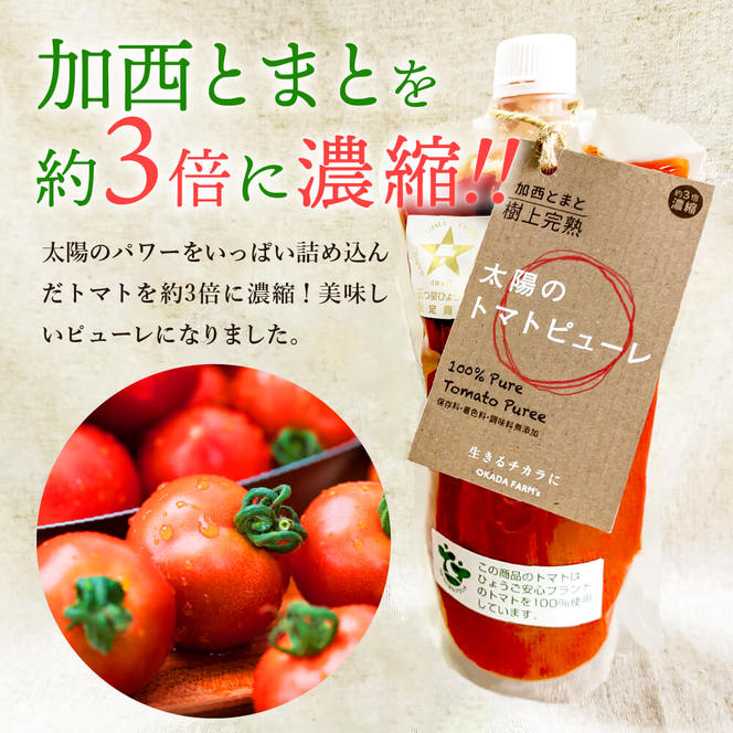 トマト 2kg+太陽のトマトピューレ 380g×3本 セット 加西トマト 2025年度産 兵庫県産 野菜 とまと 完熟 高糖度 濃厚 甘い 賞 受賞 糖度 夏野菜 あまい お取り寄せ 冷蔵配送