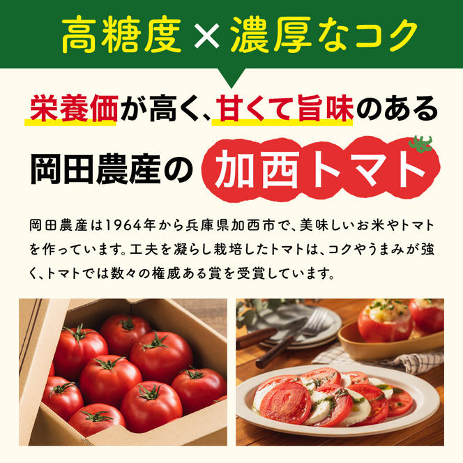 トマト 1kg+太陽のトマトピューレ 380g×1本 セット 加西トマト 2025年度産 兵庫県産 野菜 とまと 完熟 高糖度 濃厚 甘い 賞 受賞 糖度 夏野菜 あまい お取り寄せ 冷蔵配送