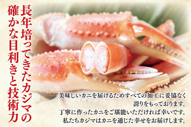 訳あり ボイル 本ずわいがに 総重量 2.4kg ( 内容量 2kg ) < 数量限定 > < 工場直送 > 規格外 折れ 足 肩 訳アリ わけあり カジマ ずわい蟹 ズワイガニ かに カニ 蟹 カニ足 カニ脚 カニ肩 カニ爪 ずわい 鍋 魚介 海鮮