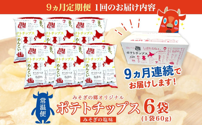 定期便 全9回北海道 オリジナル ポテトチップス 60g 6袋 塩味 道の駅 オリジナル パッケージ ポテチ しお じゃがいも ジャガイモ お菓子 スナック おやつ おつまみ あっさり ポテトチップス みそぎの郷 ご当地 送料無料 木古内