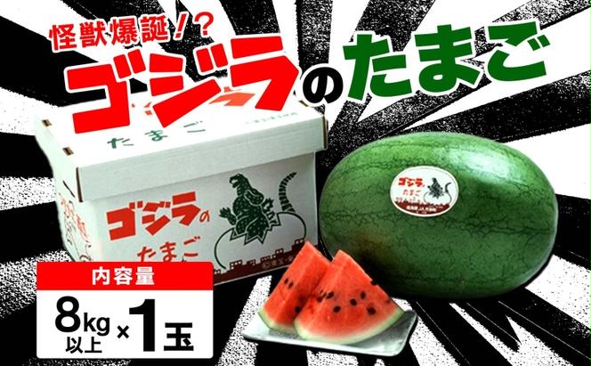 北海道 大玉 スイカ ゴジラのたまご 1玉 約8kg すいか 西瓜 果物 フルーツ 旬 希少 貴重 甘い ユニーク 国産 産地直送 ギフト お祝い 贈答品 贈り物 お取り寄せ エーコープつきがた 送料無料 月形