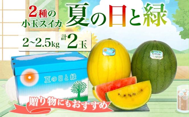 北海道 小玉 スイカ 2種 セット 夏の日と緑 2～2.5kg 2玉 赤色 黄色 すいか 果物 フルーツ 旬 西瓜 甘い プレゼント ギフト 自家用 お中元 お取り寄せ 国産 ご褒美 産地直送 送料無料 エーコープつきがた