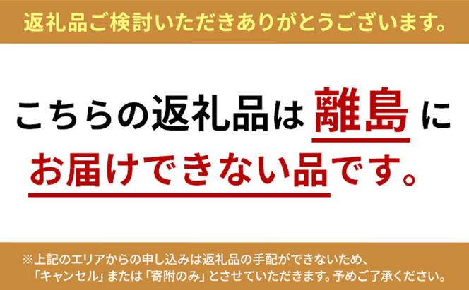 夏に食べたい！冷やしておいしいサマーシュトレン 2個｜瑞穂市 お取り寄せ グルメ スイーツ　※2026年6月～発送