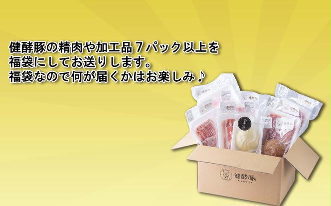 ＜ 定期便 6回 ＞ 北海道産 健酵豚 お楽しみ 福袋 （ 加工品 あり） 隔月 各 7パック以上 豚肉 精肉 加工品 セット 詰め合わせ ブランドポーク