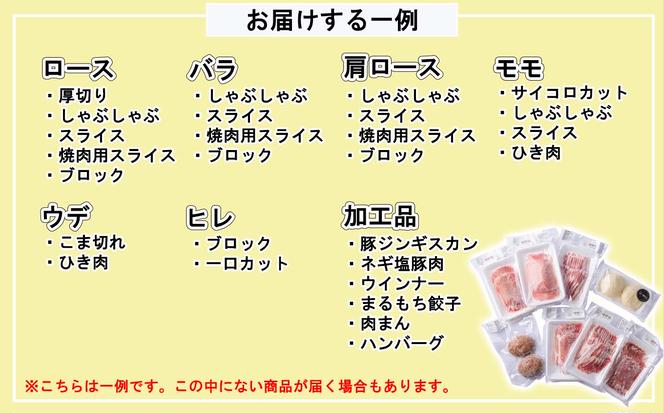 ＜ 定期便 6回 ＞ 北海道産 健酵豚 おまかせ セット （ 加工品 あり） 隔月 各 3～4 パック 豚肉 精肉 加工品 詰め合わせ ブランドポーク