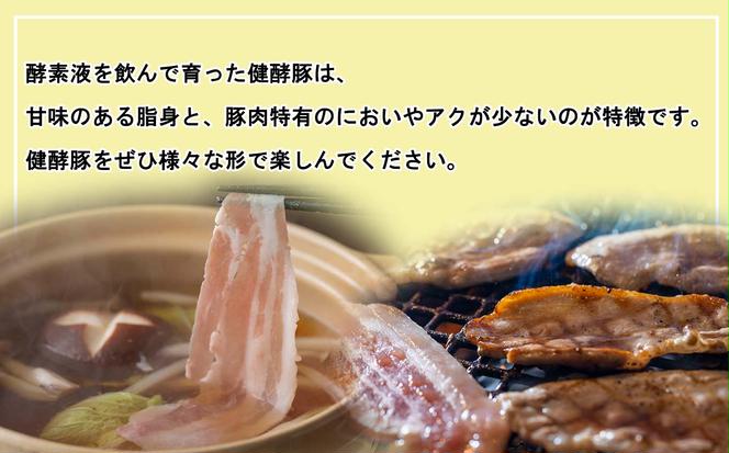 ＜ 定期便 6回 ＞ 北海道産 健酵豚 おまかせ セット （ 加工品 あり） 隔月 各 3～4 パック 豚肉 精肉 加工品 詰め合わせ ブランドポーク