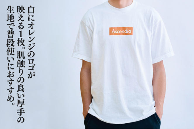 日本初！プロフットゴルフクラブ鹿島Ascendia オリジナルグッズ（ボックスロゴTシャツ）【 スポーツ サッカー ゴルフ ロゴＴシャツ グッズ 茨城県 鹿嶋市】（KDB-6）