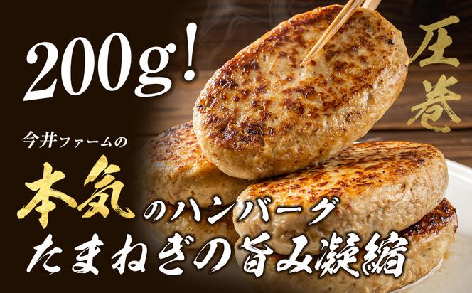 淡路島たまねぎどっさりジャンボハンバーグ プレーン＆チーズセット 200g×10個　　[ハンバーグ チーズハンバーグ ハンバーグ ハンバーグ ハンバーグ ハンバーグ ハンバーグ ハンバーグ ハンバーグ ハンバーグ ハンバーグ ハンバーグ ハンバーグ ハンバーグ]