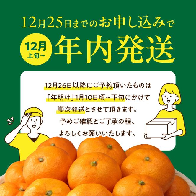 YA1001_完熟 アルギット みかん 3kg M～L サイズ 年内発送