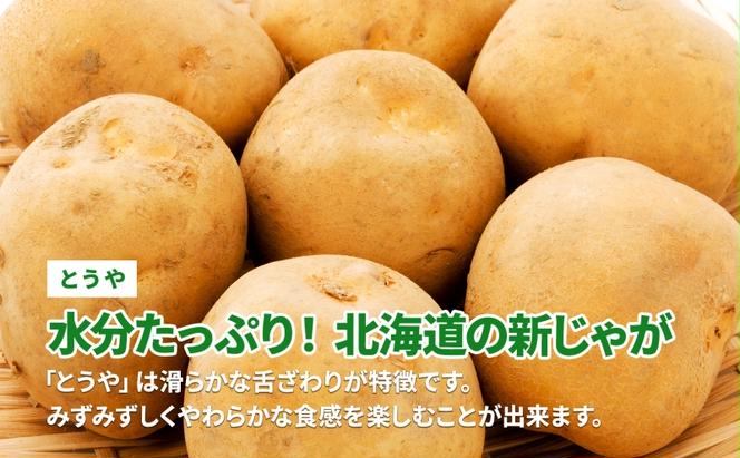 北海道 とうや  L～LM 約10kg 9月中旬より順次出荷 新じゃが じゃがいも ジャガイモ じゃが芋 馬鈴薯 黄爵 芋 いも イモ 旬 野菜 農作物 カレー シチュー肉じゃが 北海道産 丸田農園 送料無料