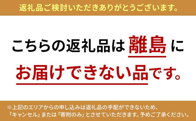 高糖度「ほれトマト」1kg　太陽の恵みをたっぷりもらった糖度10度以上の極上ミニトマト 瑞穂市 お取り寄せ 野菜【予約販売】