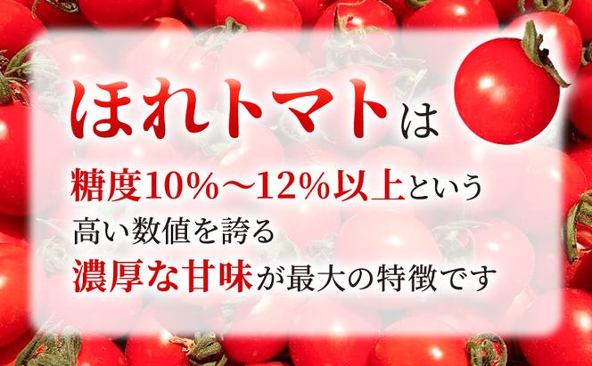 高糖度「ほれトマト」1kg　太陽の恵みをたっぷりもらった糖度10度以上の極上ミニトマト 瑞穂市 お取り寄せ 野菜【予約販売】