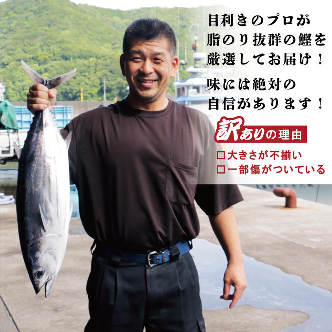 訳あり かつおのたたき 1kg と 愛南ゴールド 真鯛 200g お試し セット 10000円 サイズ 不揃い 規格外 カツオたたき 鰹たたき カツオ タタキ 肉 厚 養殖 タイ みかん 河内晩柑 柑橘 藻塩 刺身 刺し身 さしみ しゃぶしゃぶ 鯛しゃぶ 塩焼 少量 冷凍 旬 お手軽 海鮮 魚介 父の日 傷 小分け 真空 パック 新鮮 鮮魚 天然 鰹 四国一 一本釣 人気 ハマスイ 愛南町 愛媛県