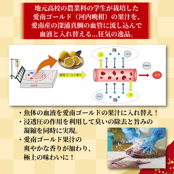 訳あり かつおのたたき 1kg と 愛南ゴールド 真鯛 200g お試し セット 10000円 サイズ 不揃い 規格外 カツオたたき 鰹たたき カツオ タタキ 肉 厚 養殖 タイ みかん 河内晩柑 柑橘 藻塩 刺身 刺し身 さしみ しゃぶしゃぶ 鯛しゃぶ 塩焼 少量 冷凍 旬 お手軽 海鮮 魚介 父の日 傷 小分け 真空 パック 新鮮 鮮魚 天然 鰹 四国一 一本釣 人気 ハマスイ 愛南町 愛媛県