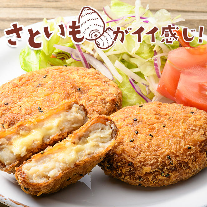 立山コロッケセット(プレーン2袋+チーズ2袋) 里芋 コロッケ 揚げ物 おかず お弁当 おつまみ 惣菜 小分け 冷凍 食品 農事組合法人いこいの杜 F6T-489