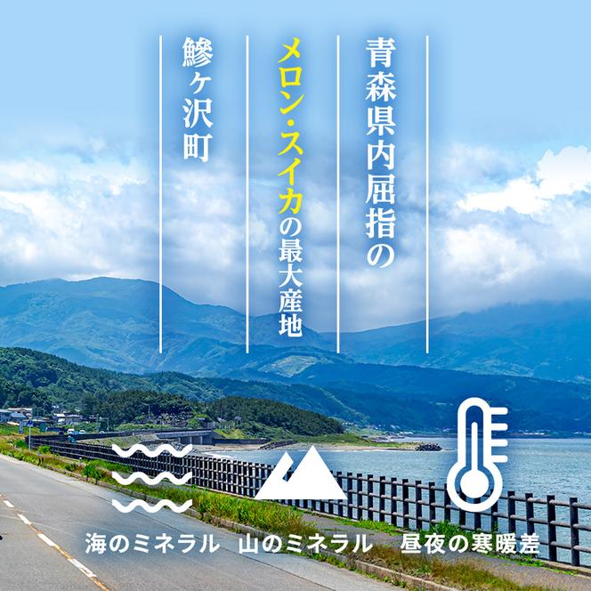 【先行予約2025年産】津軽産 減農薬栽培メロン 3～4玉 糖度16度以上保証！