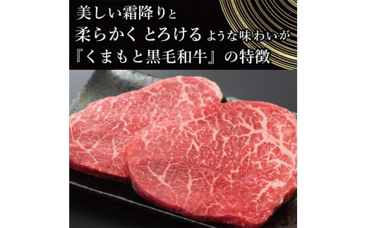 FKK19-933_ 【A4～A5】 くまもと黒毛和牛モモステーキ 約500g（100g×5）