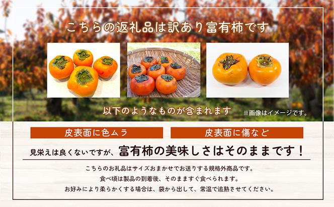 【 訳アリ 】 ご家庭用 富有柿 M～2Lサイズ 3kg　柿 果物 フルーツ 秋の味覚 訳あり わけあり 規格外 家庭用 自宅用 お取り寄せ 栄養 タンニン 岐阜県 瑞穂市