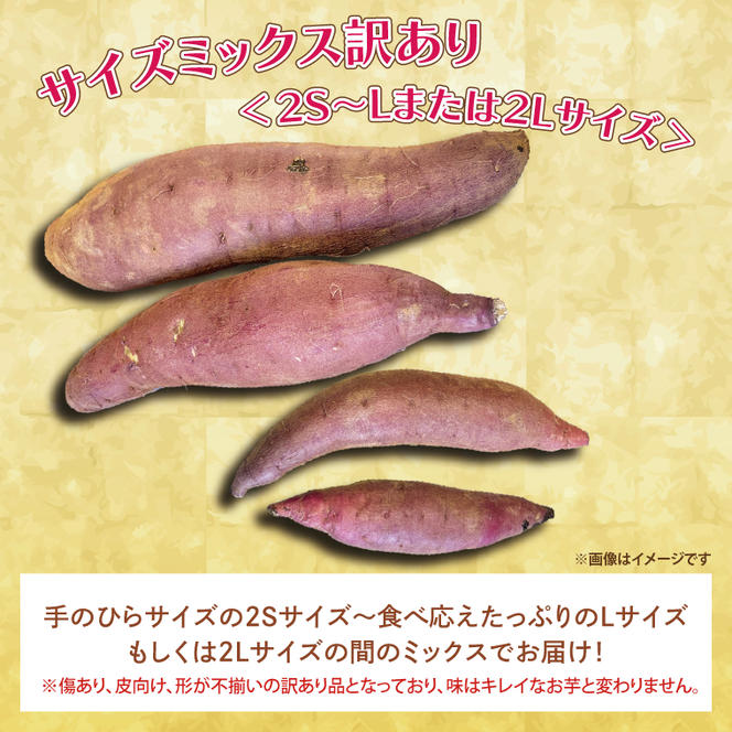 楽天市場】送料無料 頴娃町産さつまいも 熟成 紅はるか 2kg 蜜芋