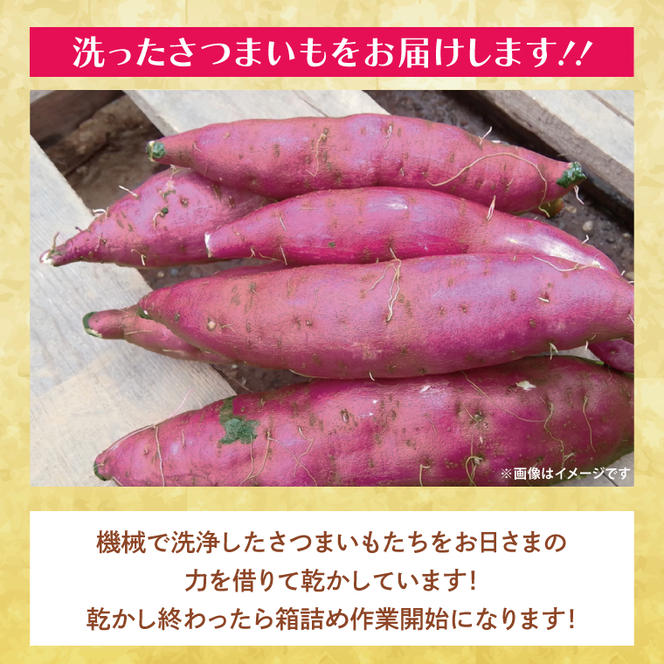大人気新品セール ブ 2025年8月中旬より順次発送】☆訳あり☆茨城県行方市特産 新 トップス