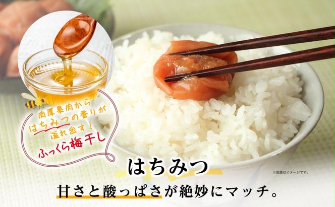 北海道 道民のための梅干 はちみつ しそ 500g×各1 計2パック 梅干し 3L～4L 南高梅 紀州 うめぼし はちみつ梅  蜂蜜 しそ梅 紫蘇 シソ 紀州梅 梅 ウメ 国産 備蓄 健康 減塩 グルメ お取り寄せ たいよう庵 送料無料 北海道 伊達