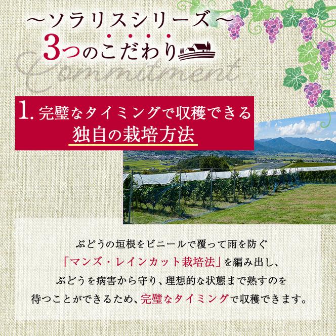 日本ワイン ソラリス 千曲川 シャルドネ 樽仕込み 750ml×6本 ワイン 白ワイン マンズワイン 酒 お酒 洋酒 果実酒 ぶどう酒 長野