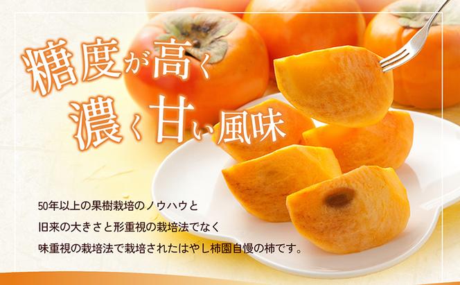 【訳アリ】はやし柿園のご家庭用 富有柿 M～2Lサイズ 3kg 高糖度 濃厚 秋の味覚 ご自宅用 ご家庭用