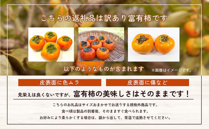 【訳アリ】はやし柿園のご家庭用 富有柿 M～2Lサイズ 7kg 高糖度 濃厚 秋の味覚 ご自宅用 ご家庭用