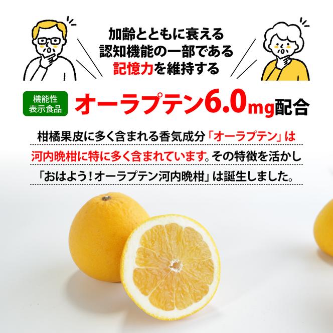 おはよう！オーラプテン河内晩柑 280ml×24本 伊方サービス 24000円 280ml 河内晩柑 愛南ゴールド 美生柑 みかん 機能性表示食品 オーラプテン 柑橘 飲料 中高年 記憶 衰え 認知 認知機能 思い 思い出す 日常生活 加齢 維持 維持する ジュース 健康 美容 クエン酸 はちみつ グレープフルーツ さわやか フルーツ 伊方町 愛媛県 愛南町 伊方サービス株式会社