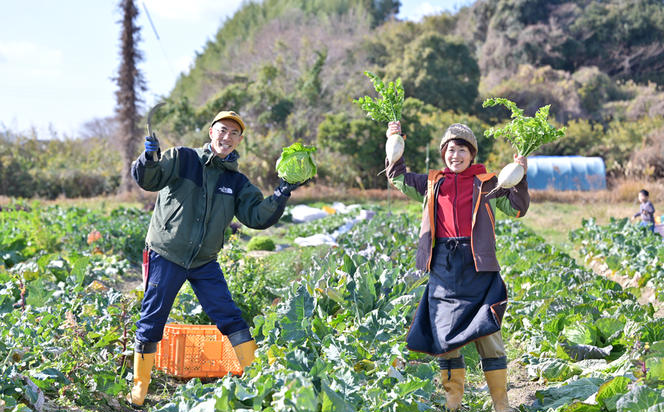 ご家庭向けお野菜セット～旬のおまかせBOX～2回お届け