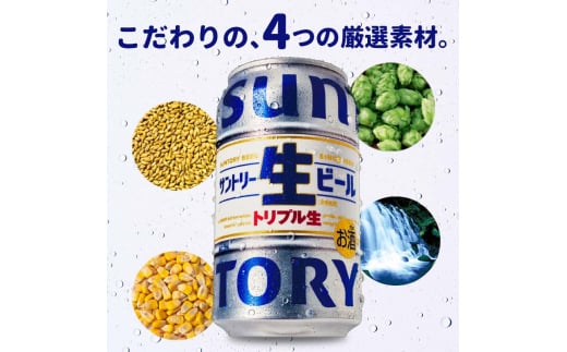 FKK19-900_ 【3回定期便】 サントリー 生ビール トリプル生 350ml ×1ケース (24缶)  熊本県 嘉島町 ビール サン生