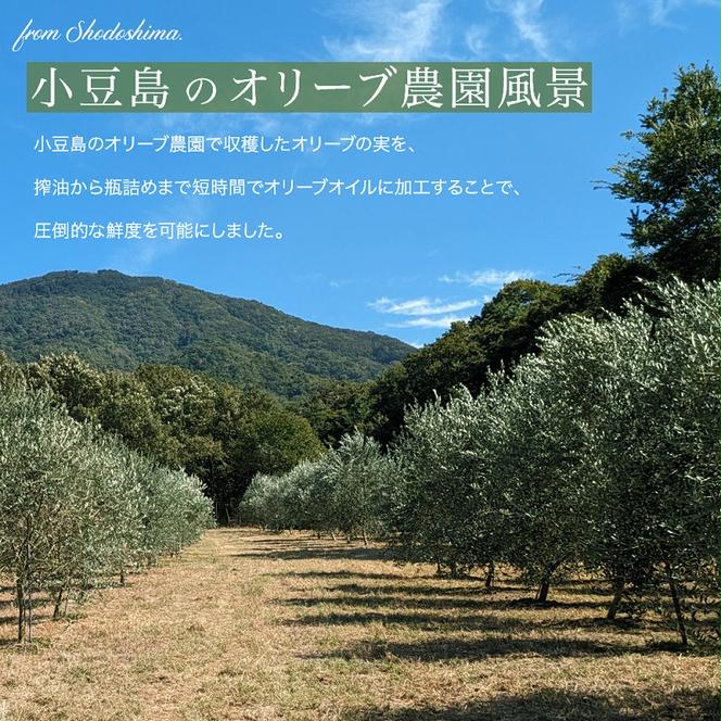 【 小豆島 】小豆島産100％「純」エキストラバージンオリーブオイル120ml(単品)10本 オリーブオイル エクストラバージン 小豆島 調味料 オイル 油