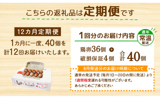 【12回定期便】卵 鶏卵 霧島山麓育ち こだわり卵『康卵』 40個入り×12回 合計480個 卵 たまご 玉子 タマゴ 生卵 鶏卵 玉子焼き 卵焼き ゆで卵 ゆでたまご エッグ TKG 卵かけご飯 たまごかけごはん つまめる 送料無料 宮崎県 えびの 九州