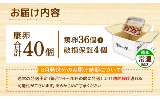 【ふるさと納税】卵 鶏卵 霧島山麓育ち こだわり卵 康卵 たまご 玉子 卵 タマゴ 生卵 鶏卵 40個入り 玉子焼き 卵焼き ゆで卵 ゆでたまご エッグ TKG 卵かけご飯 たまごかけごはん つまめる 破損保証4個含む MS L 混合 宮崎県産 九州産 送料無料