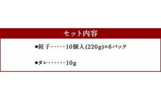 慶みん 野菜餃子(タレ付き) 合計60個 (10個入×6パック) 合計約1.3kg 餃子 ぎょうざ ギョーザ 豚肉 惣菜 おかず おつまみ 家飲み 中華 冷凍 宮崎県産 九州産 国産 冷凍 送料無料